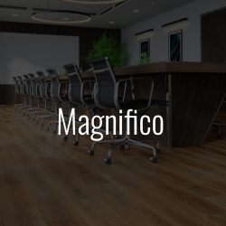 Magnifico